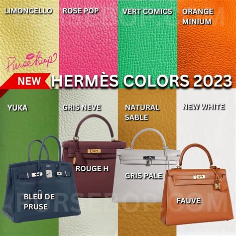 hermes 2023 colors|hermes birkin color chart.